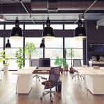 Expert Insights: Scott Hamilton Discusses Open Office Design
