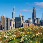 Newmark Arranges Refinancing for Rithm Capital’s Midtown Manhattan, N.Y., Office Tower