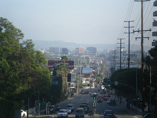 BevHills