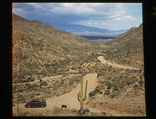 Pima