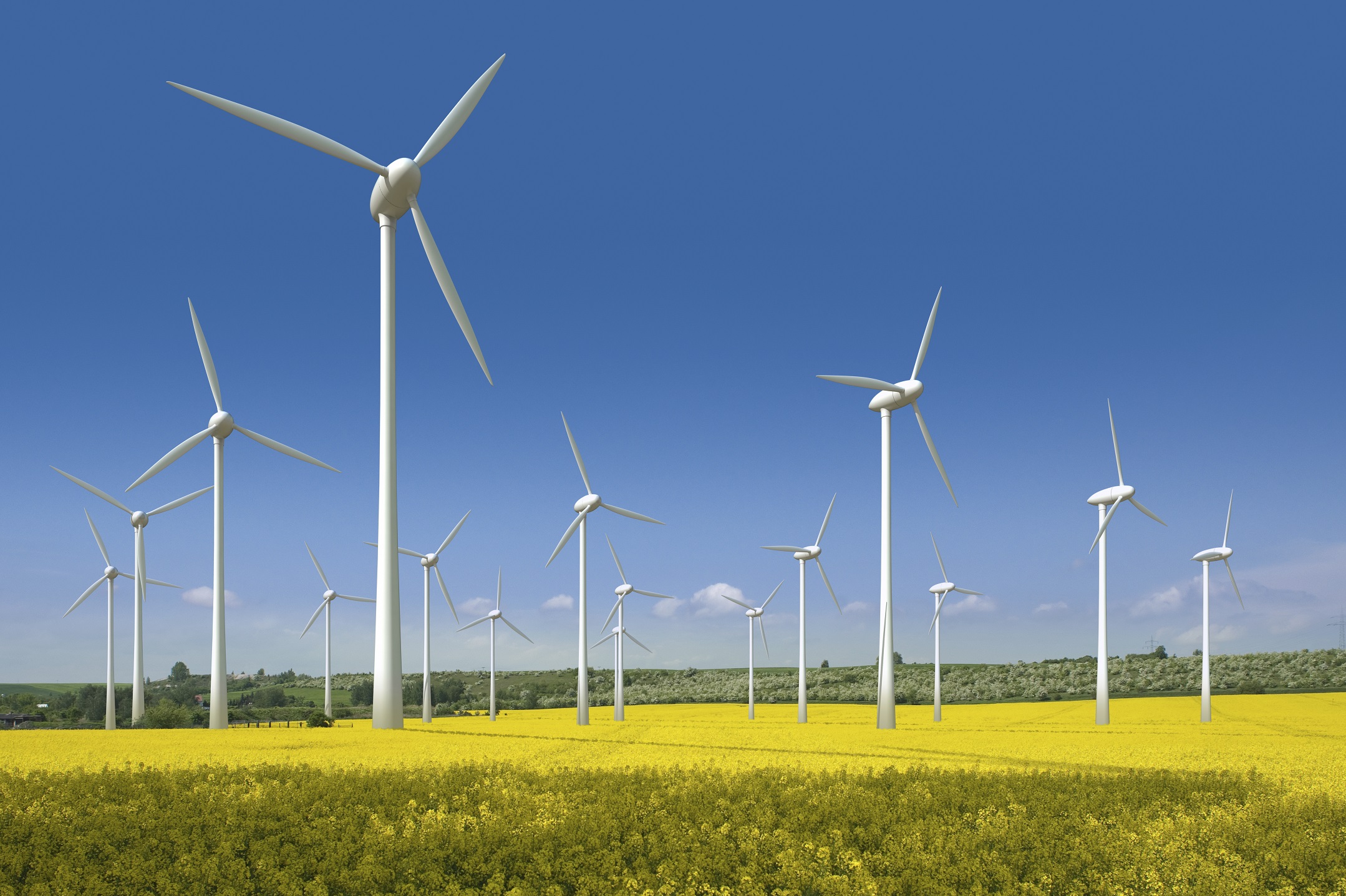 honda-windfarm