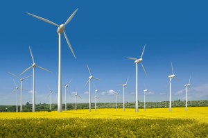 honda-windfarm