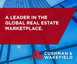 CushWake_300x250A