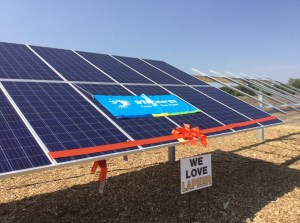 DTE Energy's solar park in Lapeer, Mich.