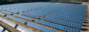 Colleton Solar Farm, S.C.
