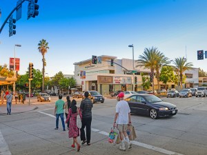 The Shops on Lake Avenue