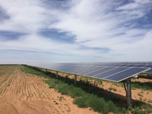Lamesa Solar Facility, Dawson County, Texas