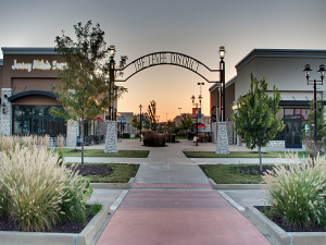 The Levee District, East Peoria, Ill.