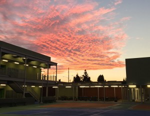 Accelerated Charter Elementary School