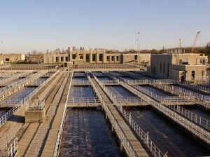 Image of Arcadis.jpg?w=300