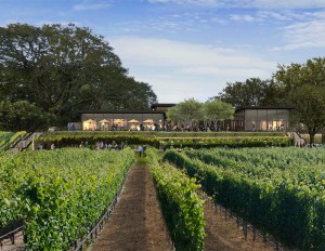 Image of Montage Healdsburg.jpg?w=300