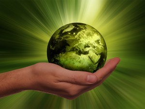 Image of sustainability 3300869 1920.jpg?w=300