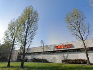 Image of big lots e1572639806858.png?w=300