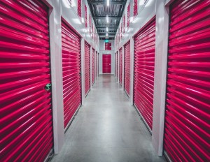 Image of Image by Joshua Coleman via Unsplash.com .jpg?w=300