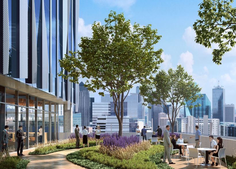 Harwood No. 14, Dallas, rooftop terrace and garden