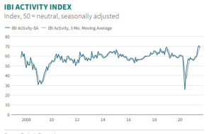 IBI Activity Index