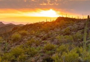 Douglas Ranch, Buckeye, Ariz.