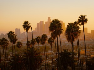 Sunset view of the city amidst palm trees