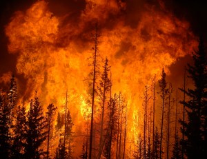 Canadian wildfires