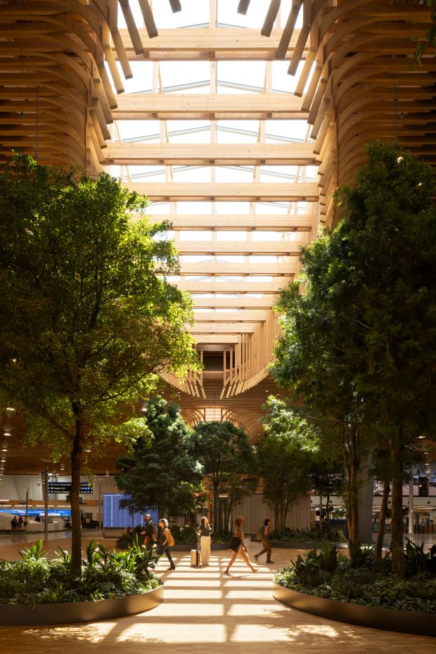 Indoor mass timber roofing system over the entire terminal core complex at Portland International Airport with trees in the foreground