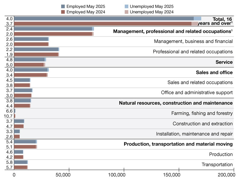 A chart of employment data from May 2024 through May 2025