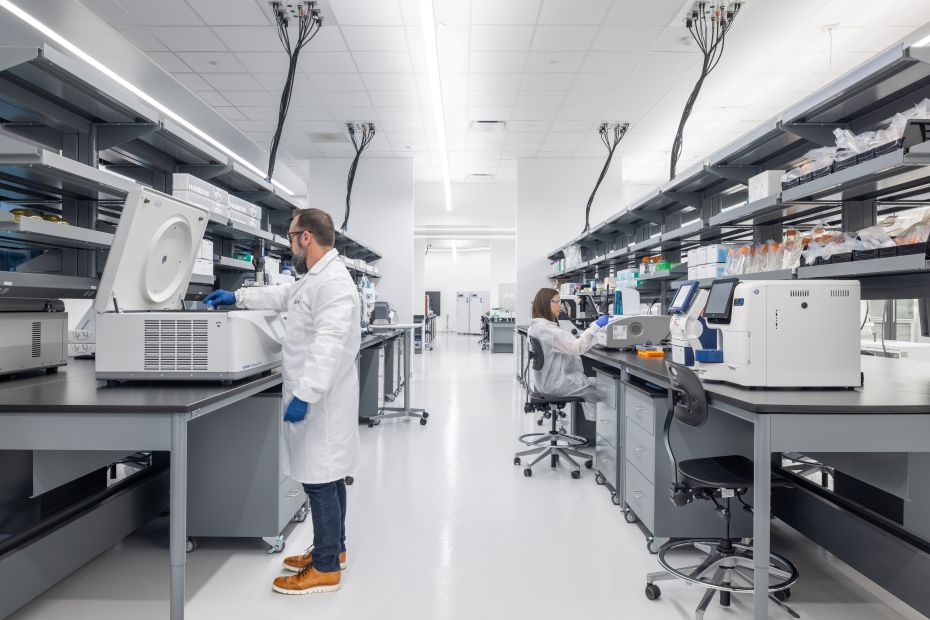 Researchers working in a laboratory