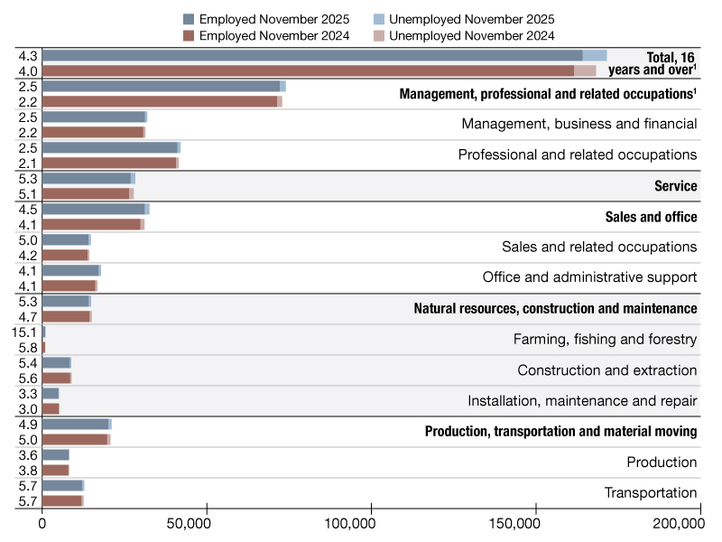 A chart of employment data from November 2024 through November 2025