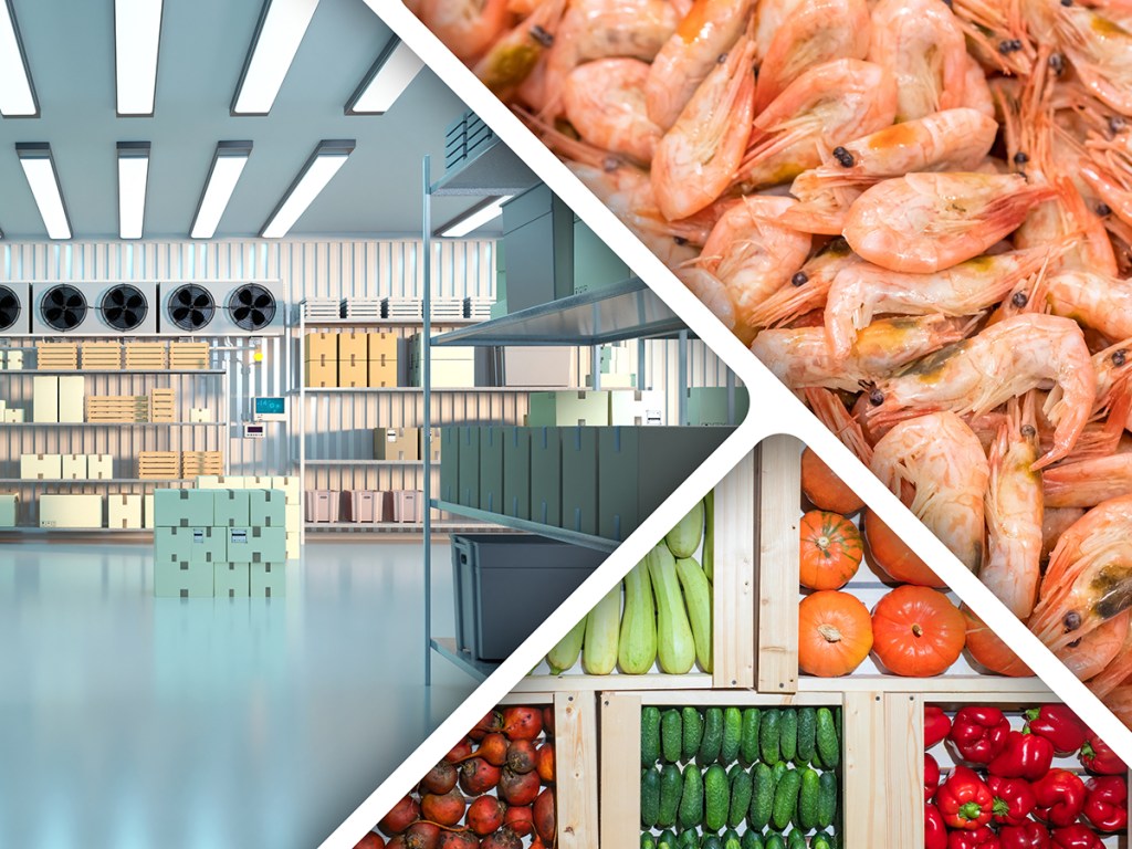 Industrial freezer with food. Frozen shrimp. Fresh vegetables near cold storage warehouse. Storage refrigerator with shelves near walls. Freezer chamber for food establishments. Refrigerator for cafe