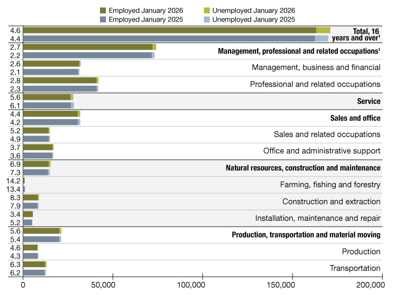 A chart of employment data from January 2025 through January 2026