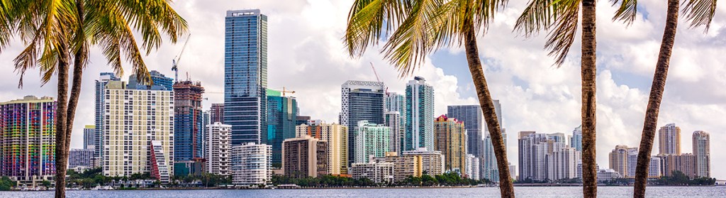 Image of Miami skyline with palm trees in the forefront